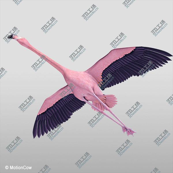 images/goods_img/20210312/Flamingo Pink - Flying/2.jpg